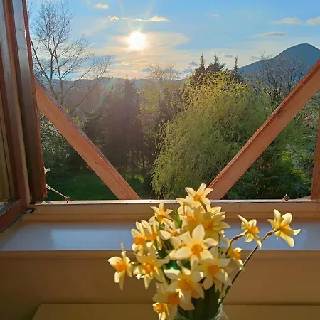 Wildrose Semesterbostad