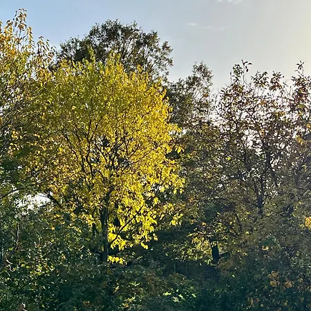 Wildrose Semesterbostad Badacsonytomaj