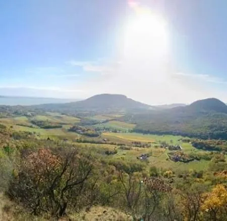 Wildrose Badacsonytomaj